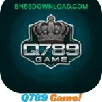 Q789 Game
