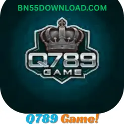 Q789 Game